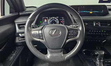 UX250h