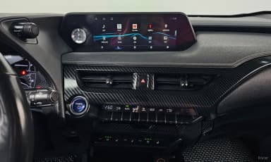 UX250h