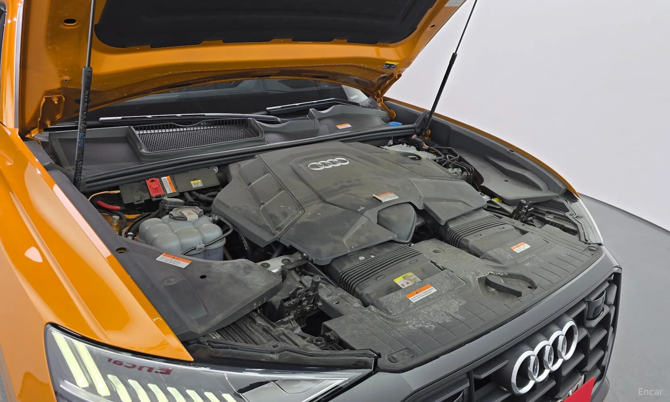 Q8 (4M)