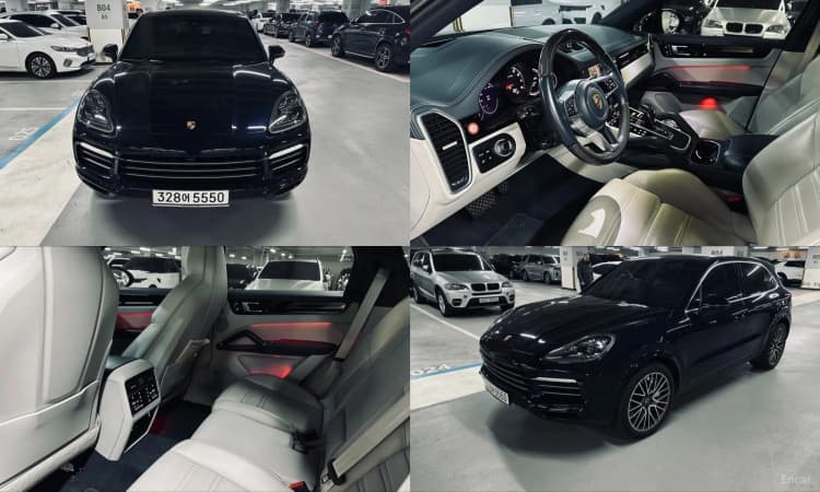 Cayenne (PO536)