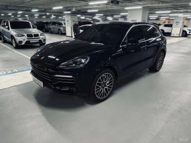 Cayenne (PO536)