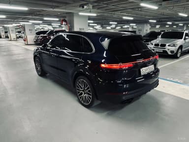 Cayenne (PO536)