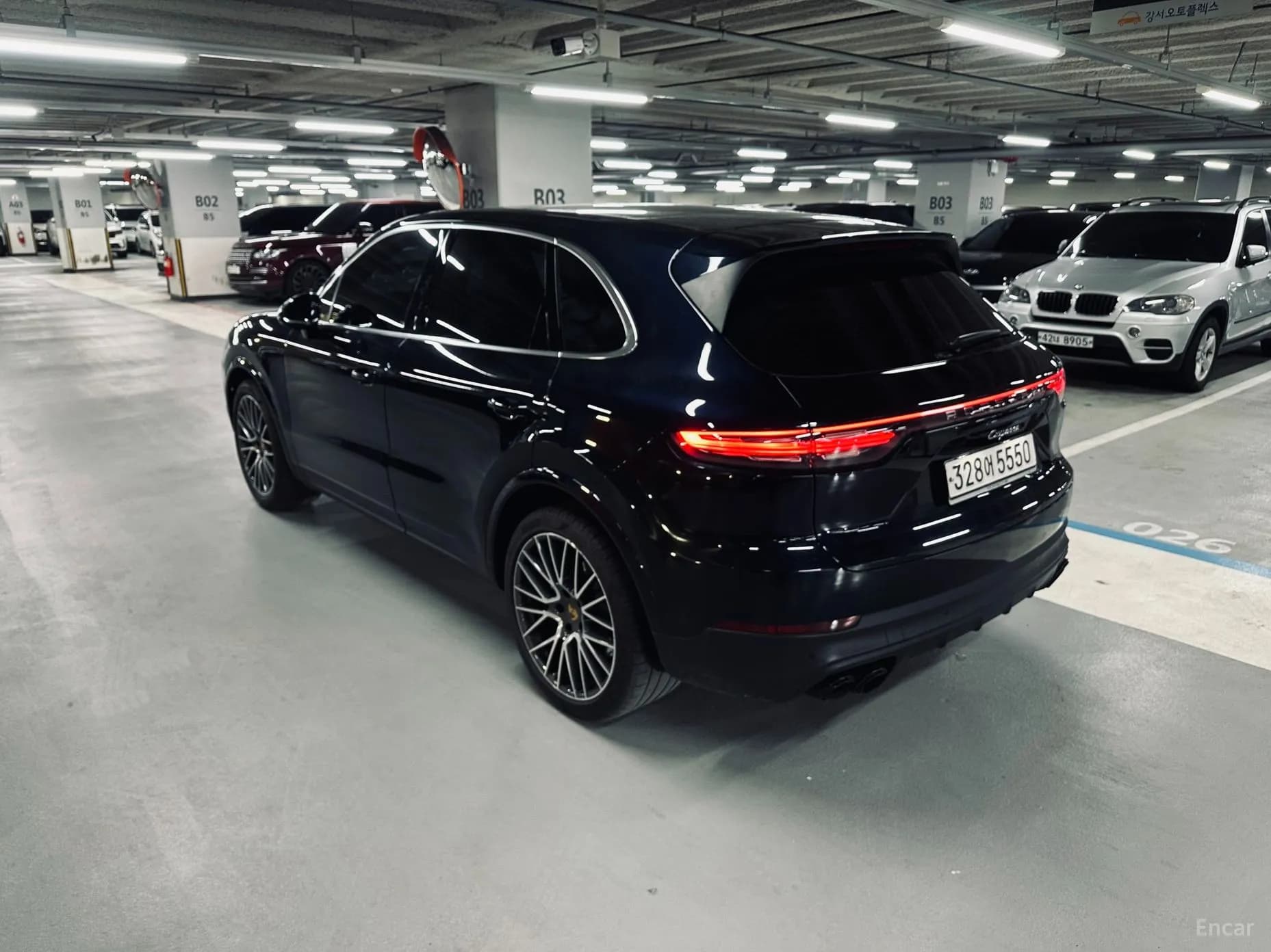 Cayenne (PO536)