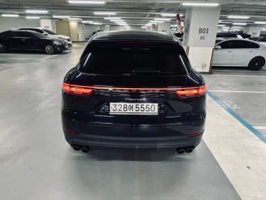 Cayenne (PO536)