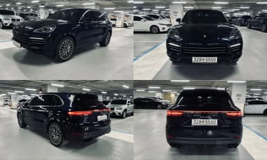 Cayenne (PO536)