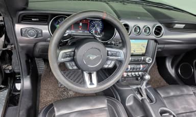 Mustang