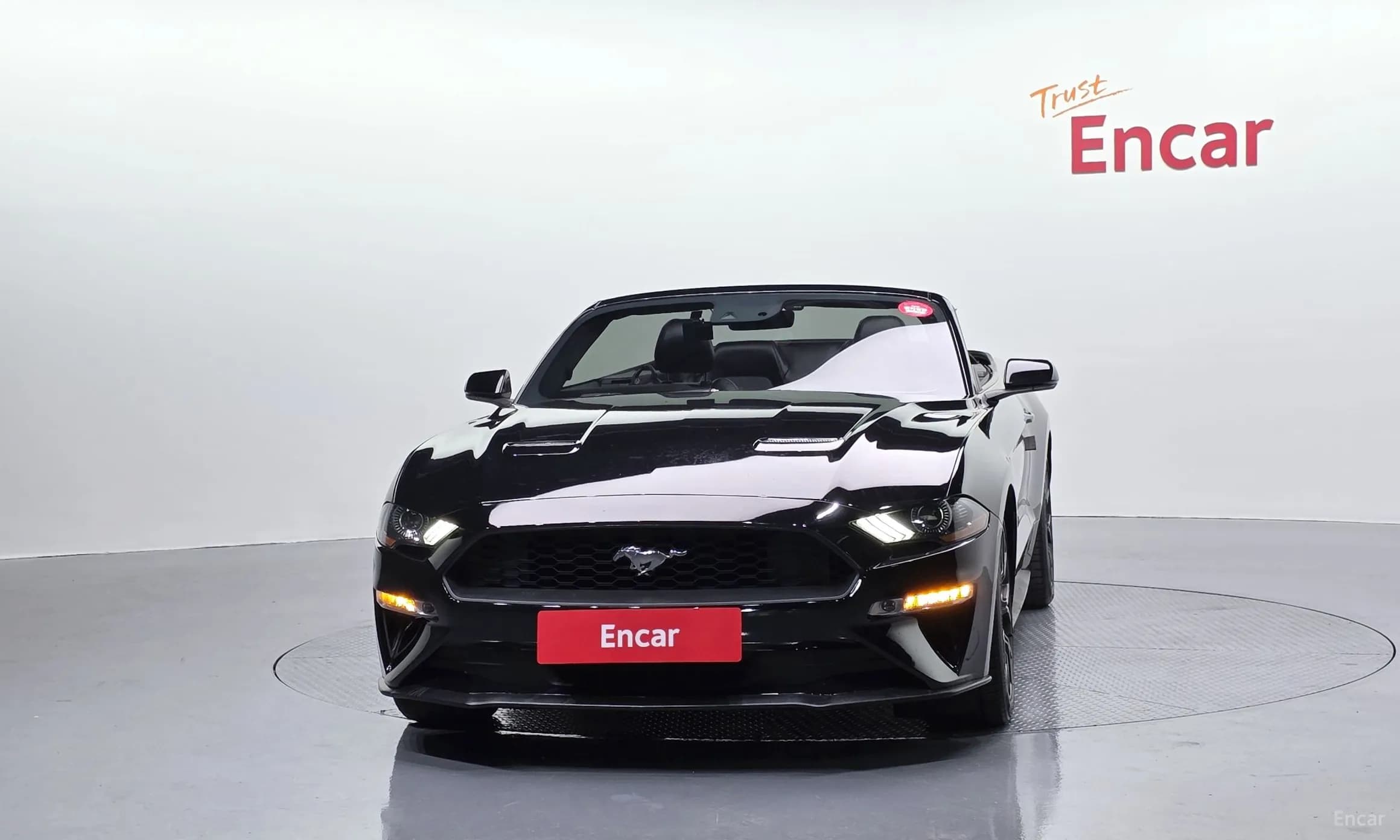 Mustang