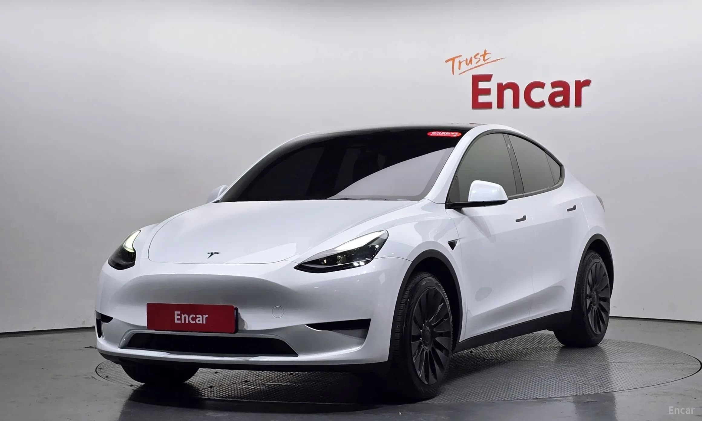 Model Y