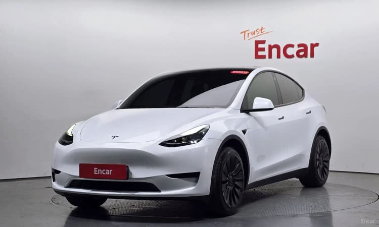 Model Y