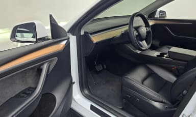 Model Y