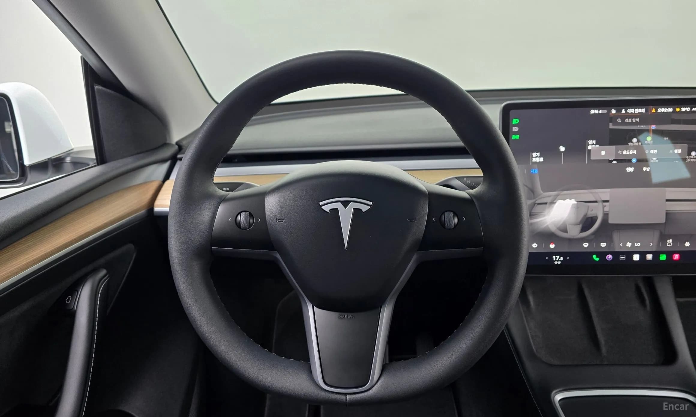 Model Y