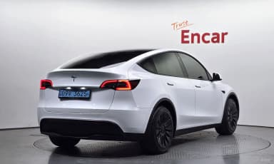 Model Y