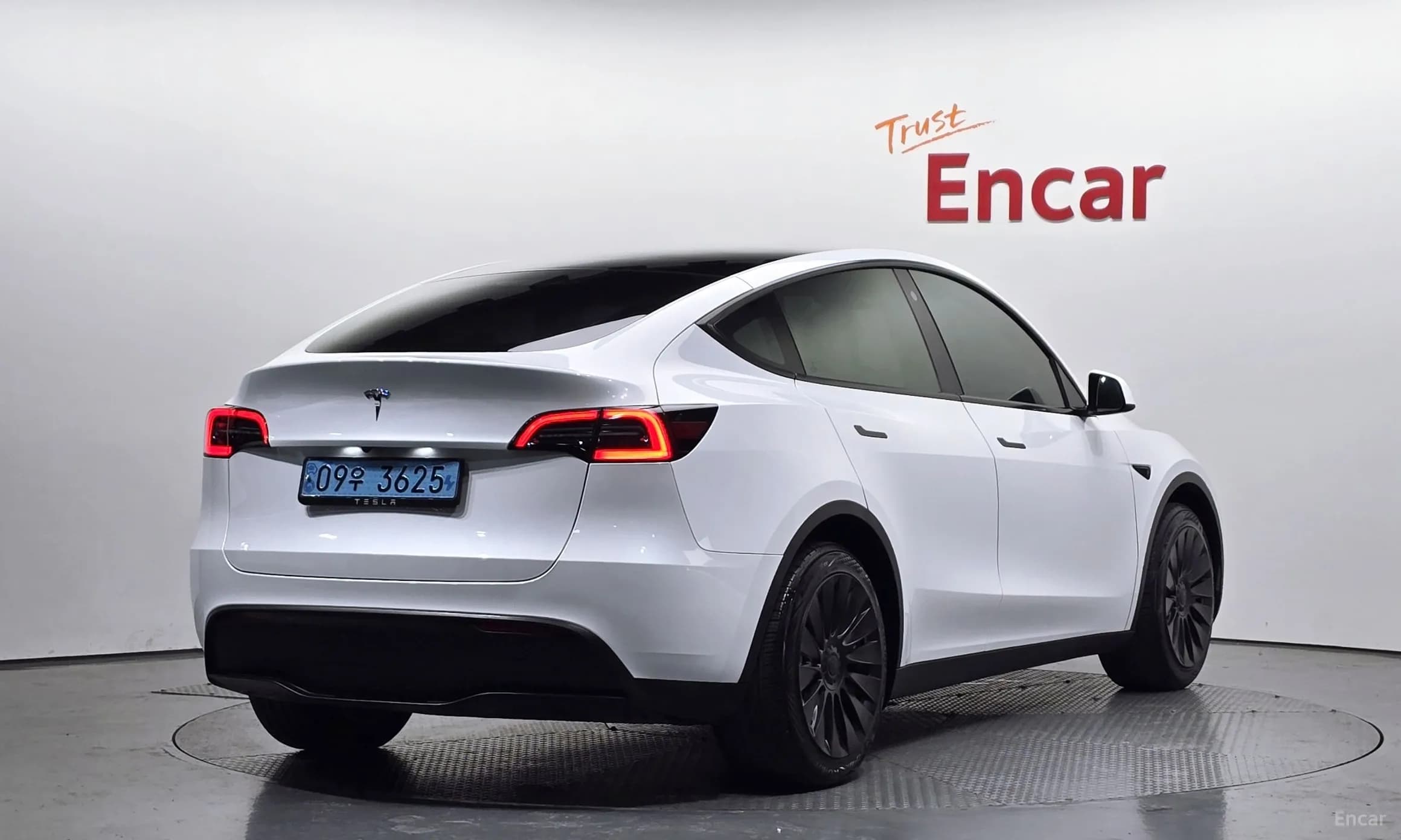 Model Y