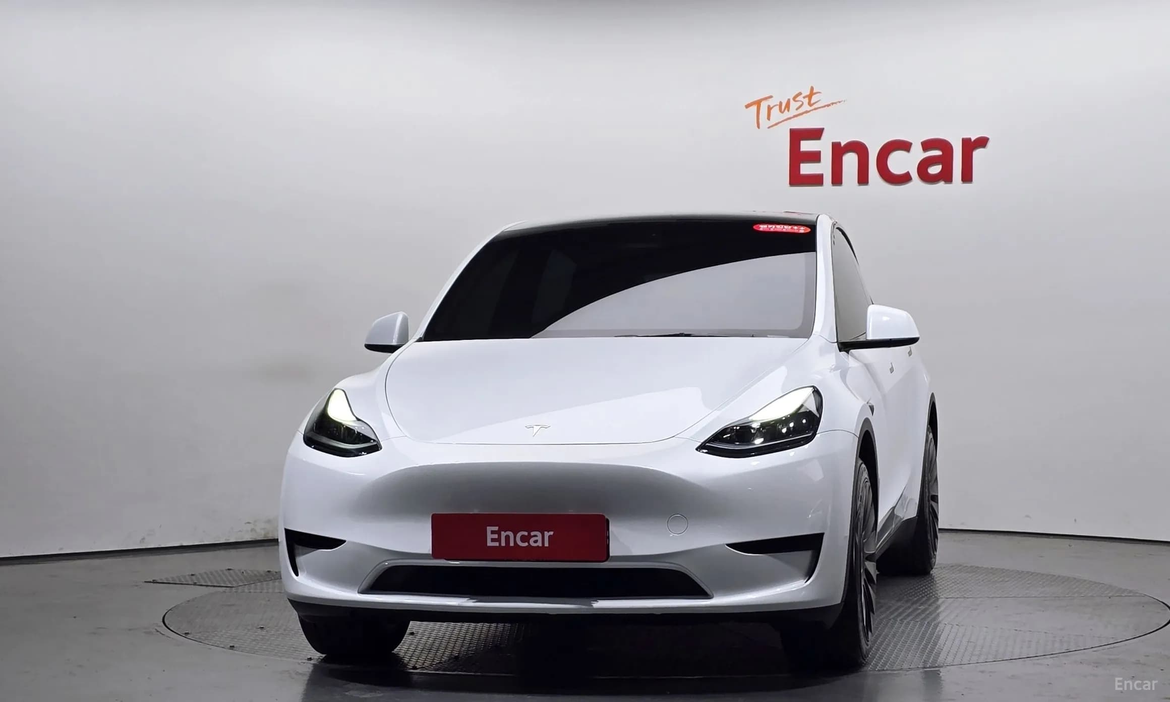 Model Y