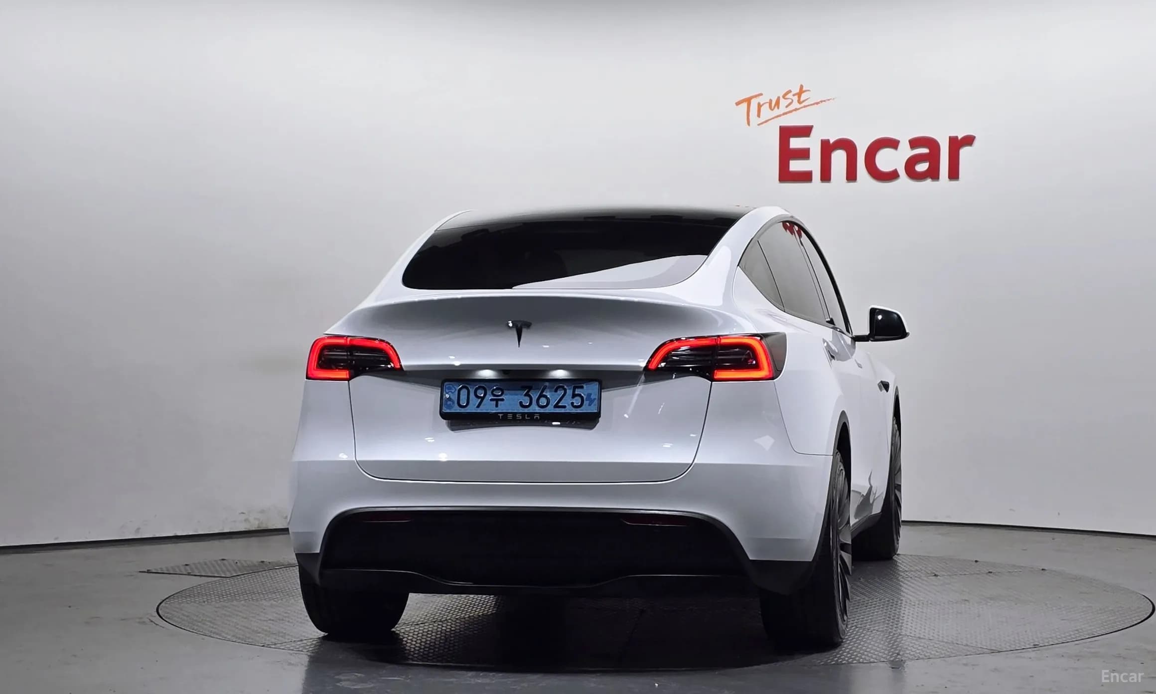 Model Y