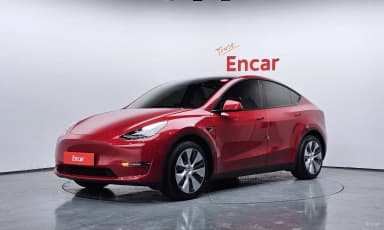 Model Y