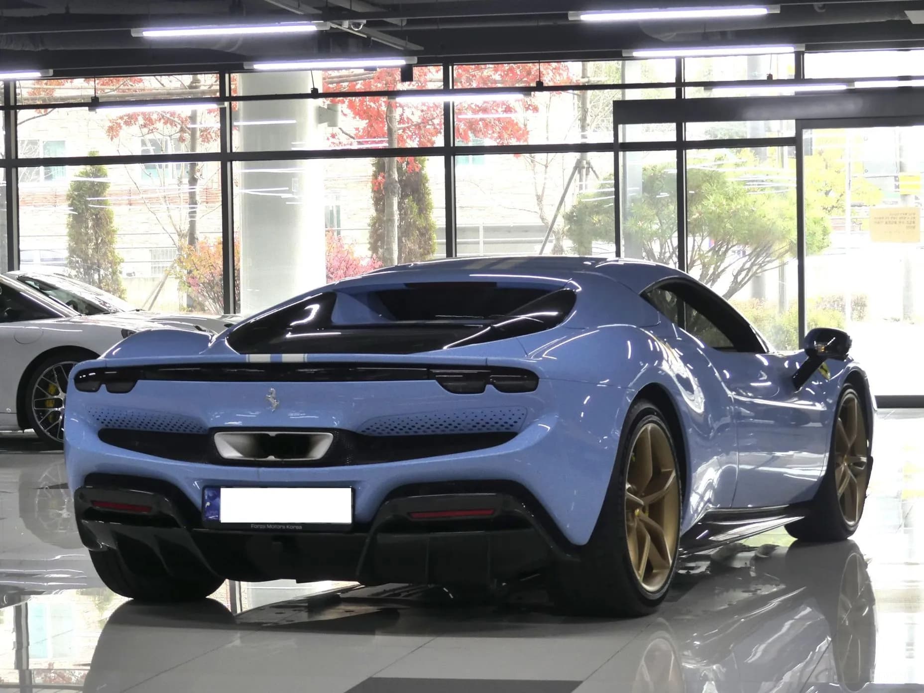 296 GTS