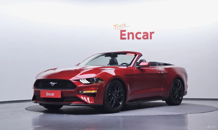Mustang