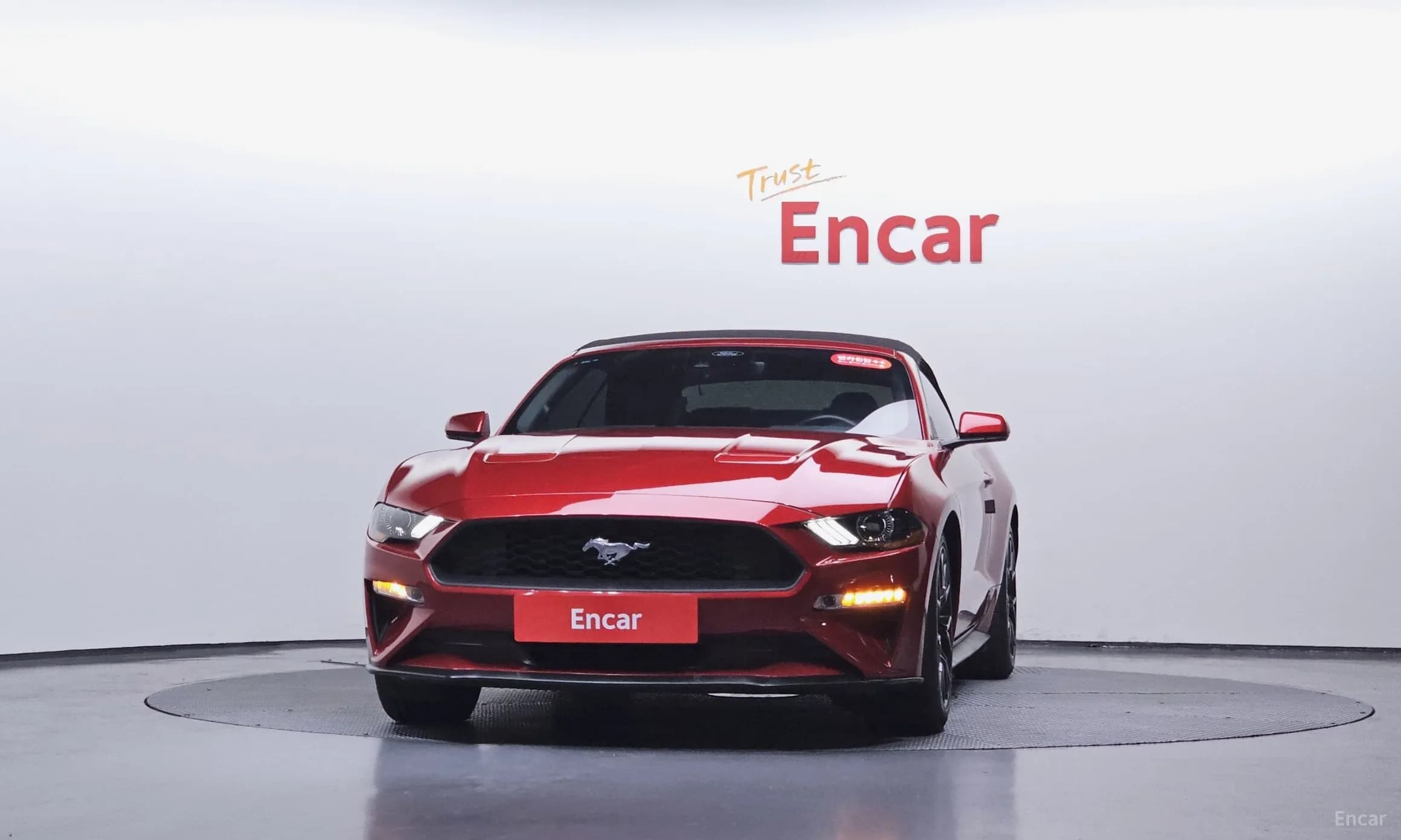 Mustang