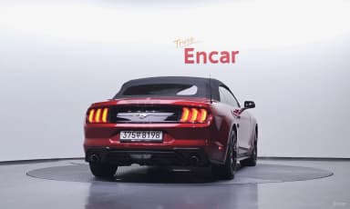 Mustang