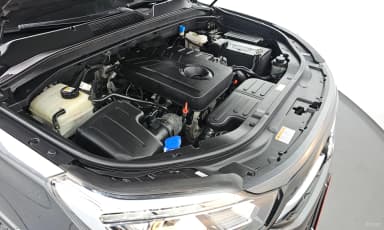 Rexton Sports