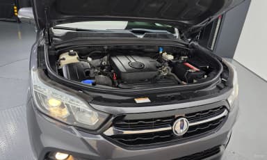 Rexton Sports