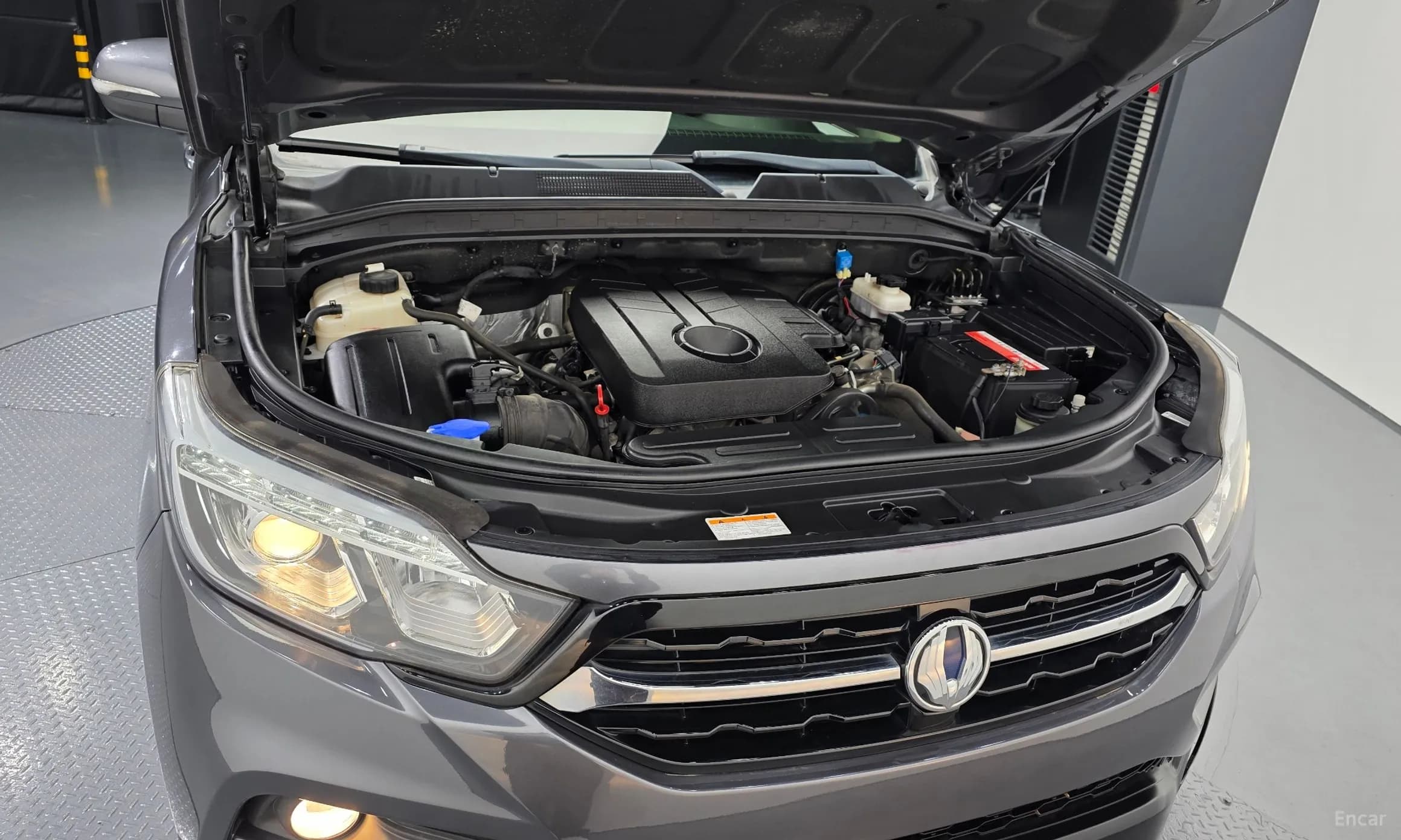 Rexton Sports