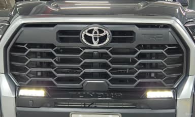 tundra