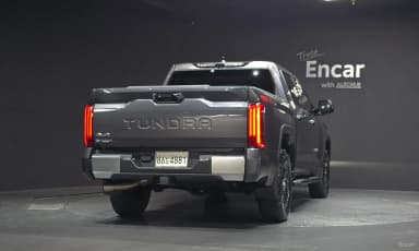 tundra
