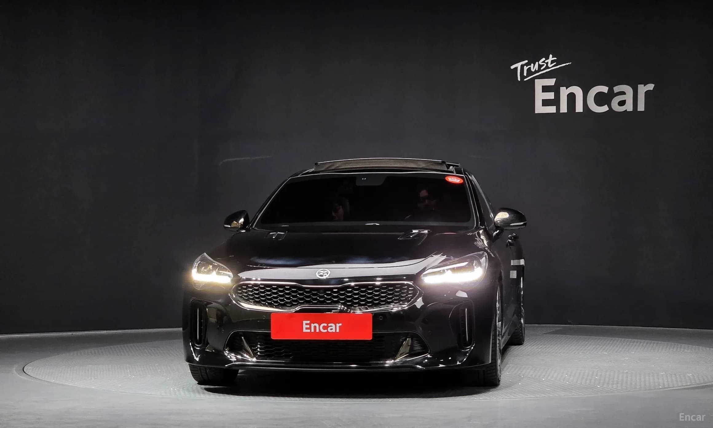 Stinger