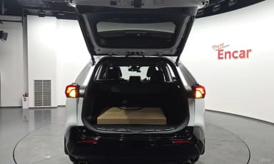 RAV4 5th Generation