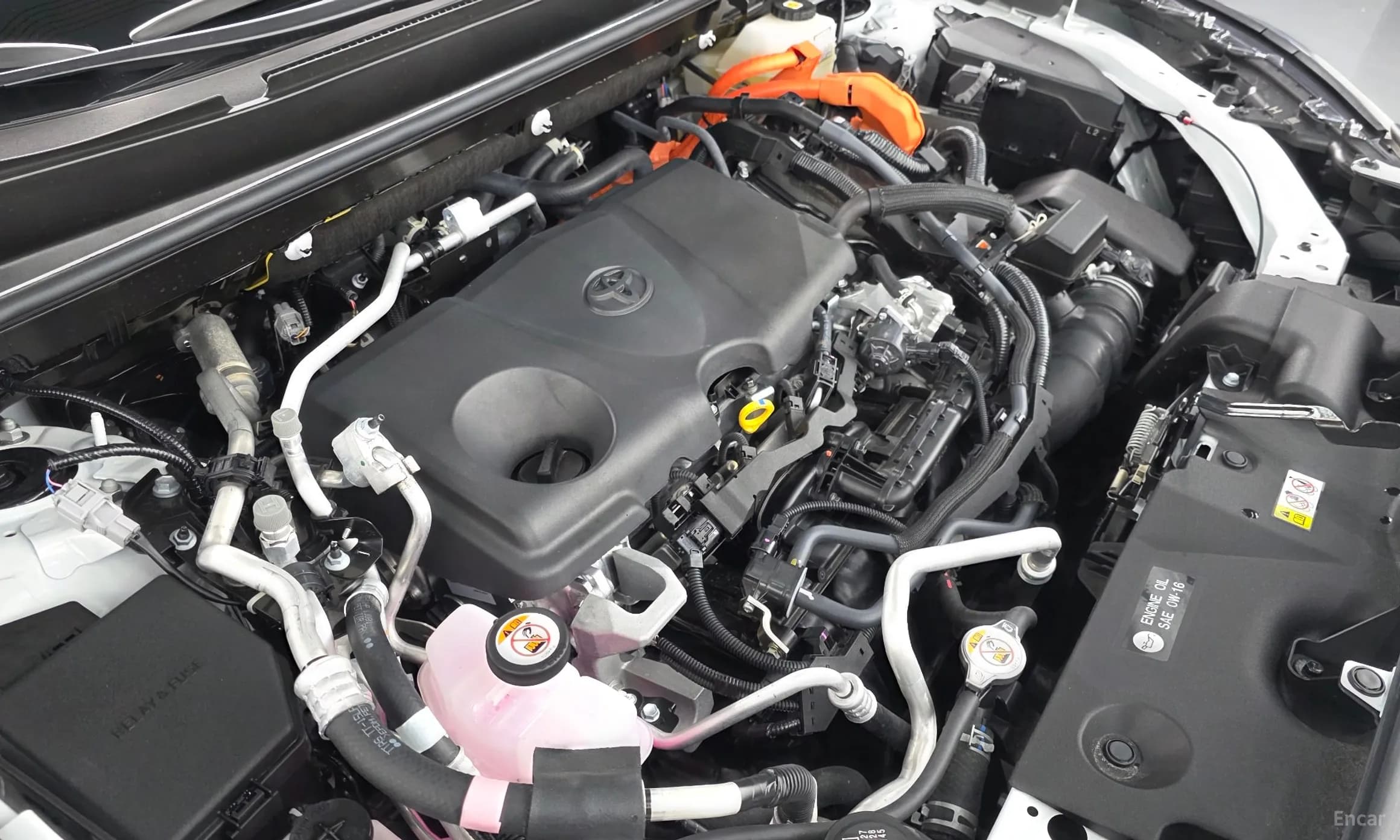 RAV4 5th Generation