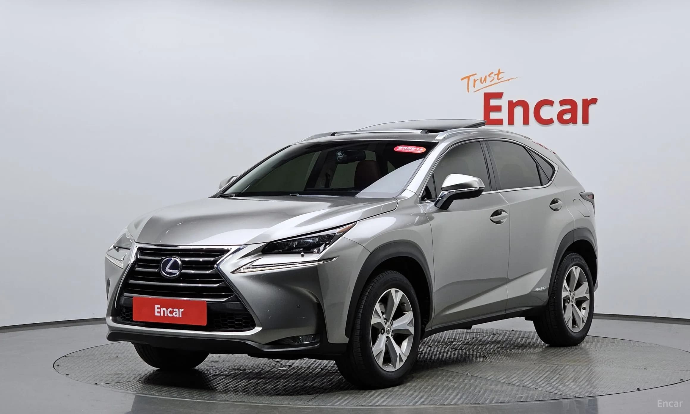 NX300h