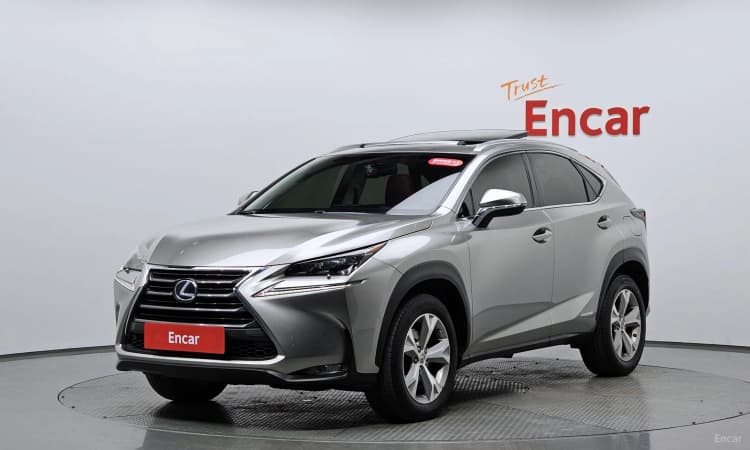 NX300h