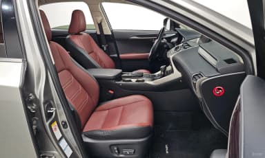 NX300h