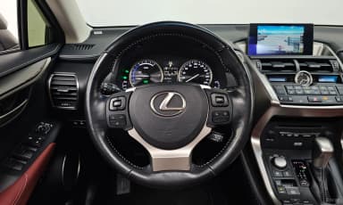NX300h