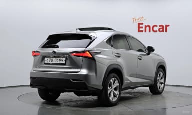 NX300h
