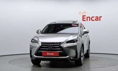 NX300h