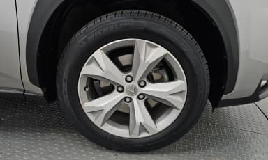 NX300h