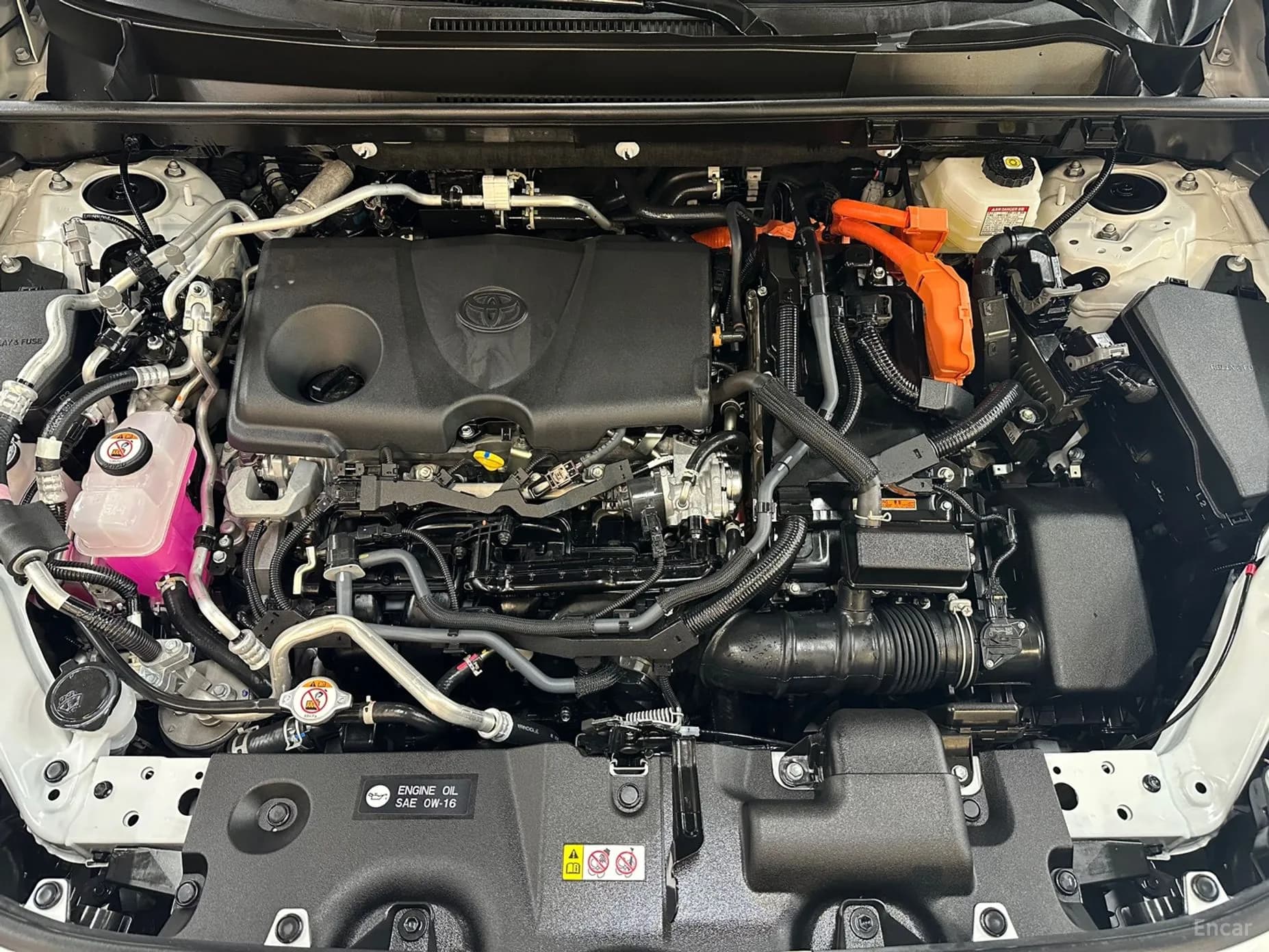 RAV4 5th Generation