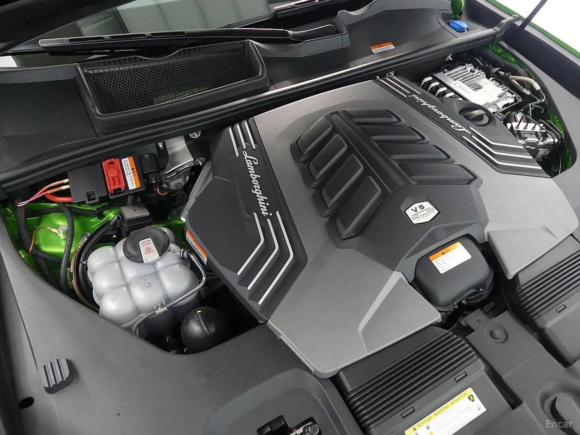 Urus