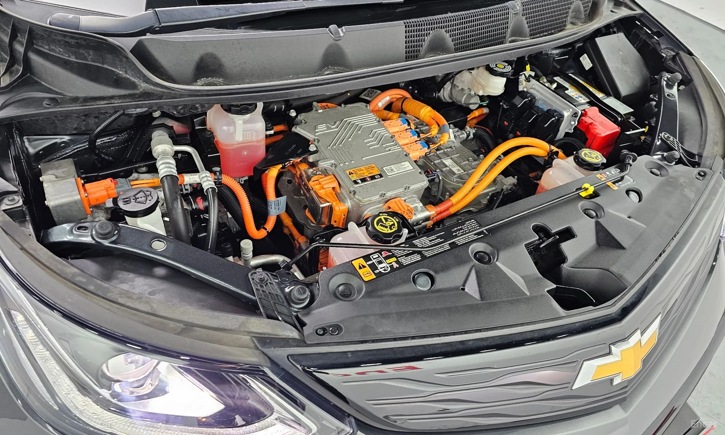 Bolt EV
