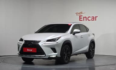 NX300h