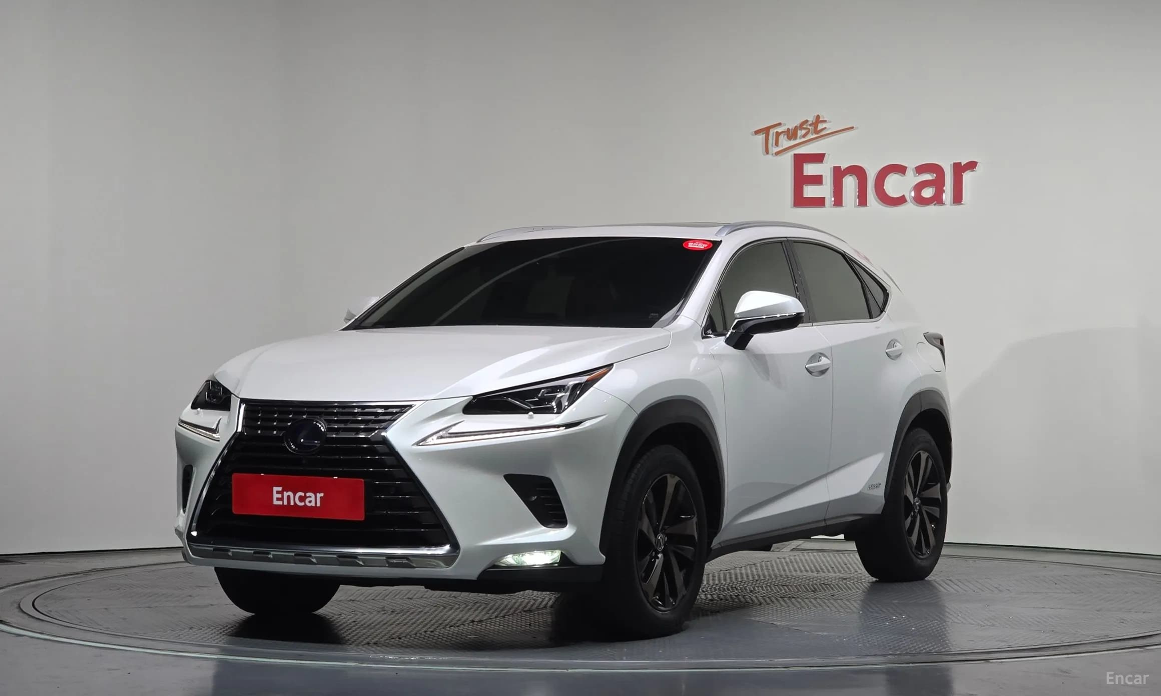 NX300h
