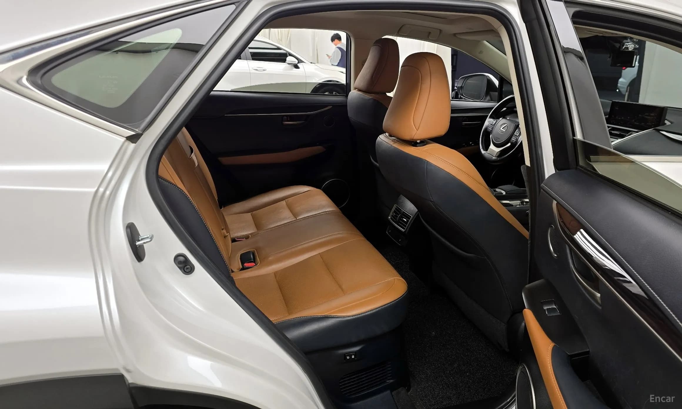 NX300h