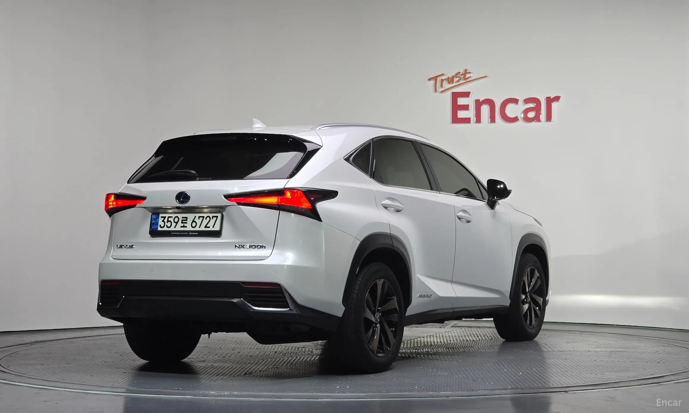 NX300h