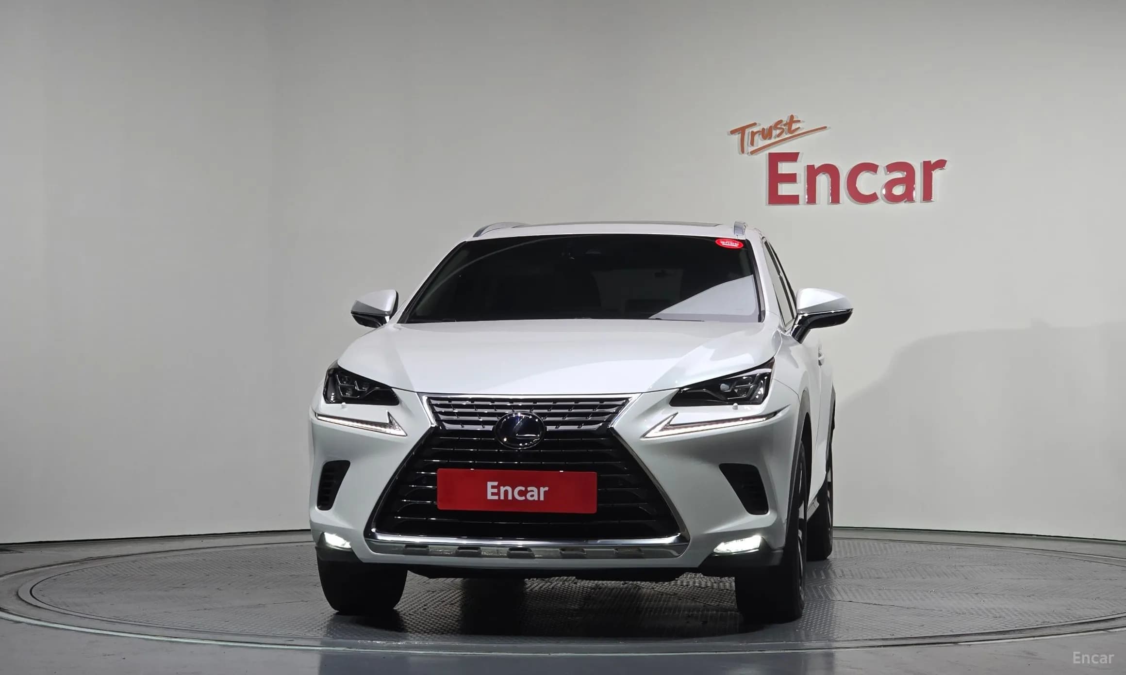 NX300h