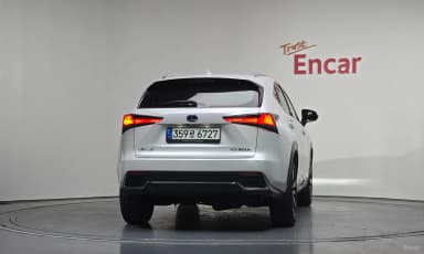 NX300h