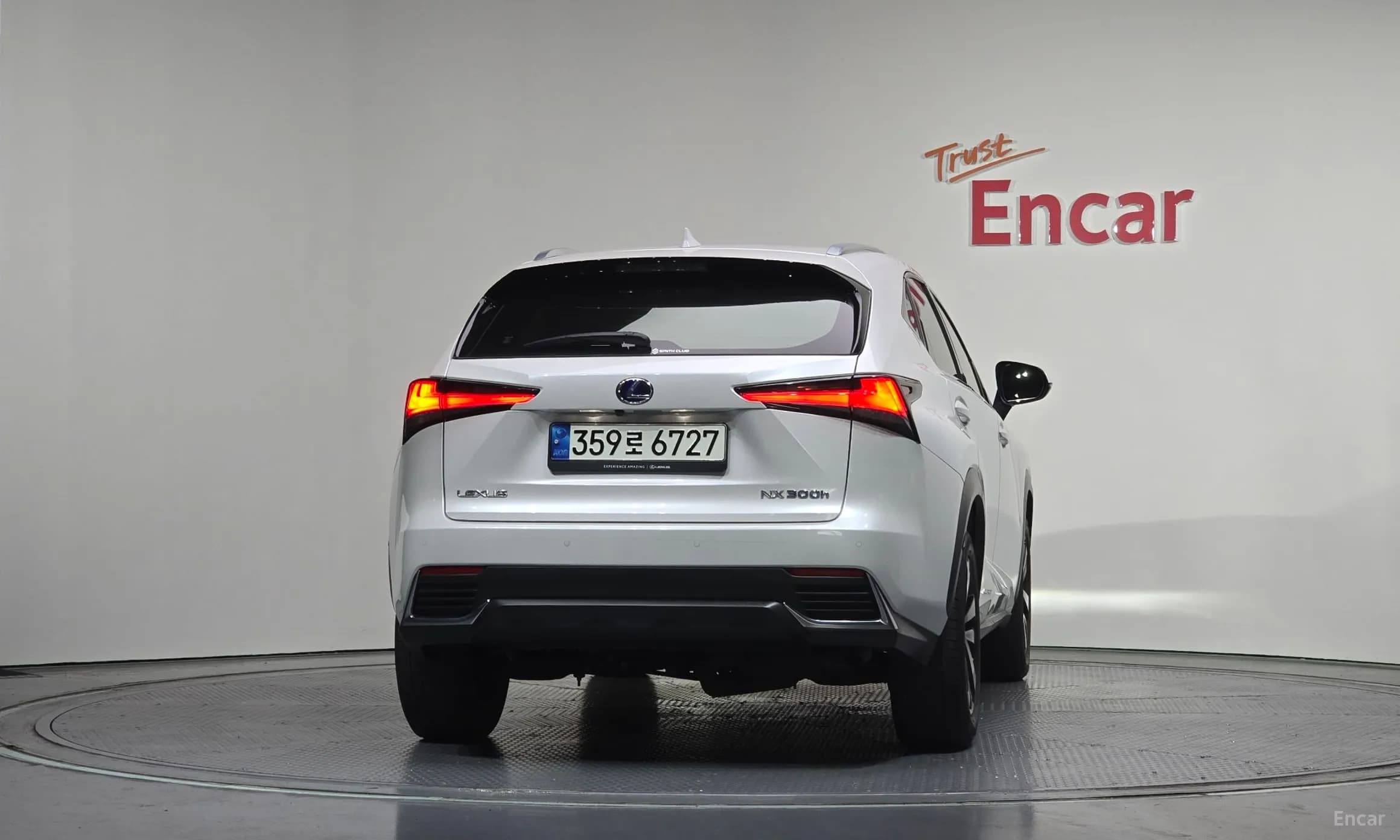 NX300h
