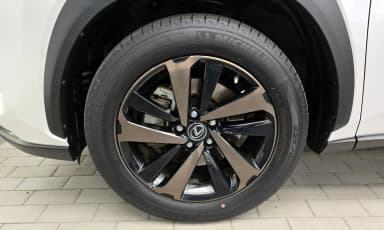 NX300h